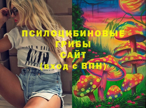 прущие грибы Алексеевка