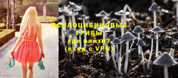 амф Абинск